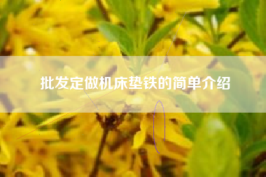 批發(fā)定做機床墊鐵的簡單介紹